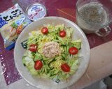 ひ～んやり♪サッポロ一番でツナゆかり冷麺作り方9写真