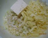 豆腐でヘルシー☆揚げ餃子作り方1写真