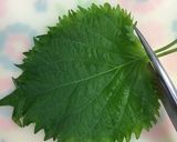 大葉を簡単に切る方法作り方2写真