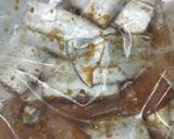 簡単 太刀魚のから揚げ作り方2写真
