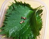 大量消費に。夏のシソの醤油漬け作り方1写真