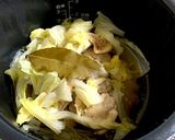 電気圧力鍋で鶏もも肉と白菜の無水スープ作り方4写真
