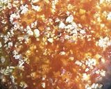 トマト缶で作る簡単ミートソース作り方5写真