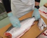 海峡サーモンの刺身作り方4写真