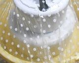 梅干しの漬け方 作り方15写真