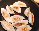 簡単★ゴーヤで餃子レシピ！作り方17写真