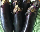 絶品！夏に美味しい揚げなすの煮浸し作り方1写真