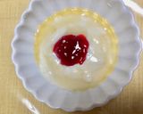 お年寄りのミキサー食 いろいろ(介護食)作り方10写真