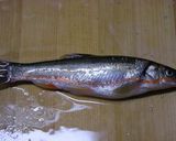 ウグイ（ハヤ）のから揚げ作り方1写真