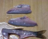ウグイ（ハヤ）のから揚げ作り方3写真