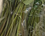 山菜みずと塩昆布の和え物作り方1写真