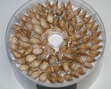 名医の太鼓判☆乾燥野菜で凍み蒟蒻の煮物作り方11写真