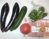 スープカレー♪簡単夏野菜で作り方1写真