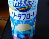 ソーダ炭酸水ジュース作り方1写真