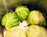 圧力鍋で巻かないロールキャベツ作り方4写真