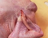 中級♪炊飯器で参鶏湯&お粥作り方2写真