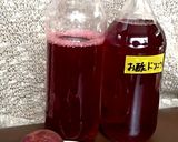 すもも酢作り方5写真