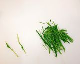 本格タイ料理　グリーンカレーチャーハン作り方3写真