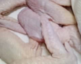 手羽先と大根の煮物【肉のおかず】作り方2写真