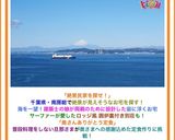 簡単とろーりチーズin♡基本のハンバーグ作り方11写真