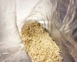 たこ焼き機で簡単じゃがアリゴコロッケ作り方2写真