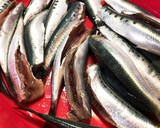 【圧力鍋】いわしの煮付け作り方1写真