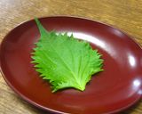 ✿雅（みやび）✿鯛の昆布〆作り方8写真