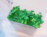 長持ち！かいわれ大根の冷蔵保存方法作り方3写真