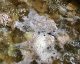 おつまみにも！甘くない鳥肝の生姜醤油煮作り方4写真