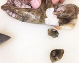 簡単、明石生タコの下処理&湯でる方法作り方5写真