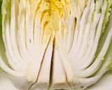 発酵食品の白菜漬け作り方1写真