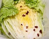 発酵食品の白菜漬け作り方2写真