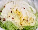 発酵食品の白菜漬け作り方3写真