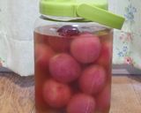冷凍梅で梅干し作り方28写真