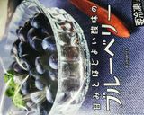 梅シロップ in ブルーベリー作り方5写真