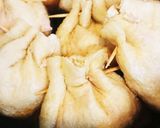 巾着煮作り方5写真