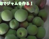【動画あり】梅ジャム・ペースト作り方1写真