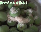 【動画あり】梅ジャム・ペースト作り方2写真