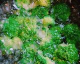 ブロッコリーのカレーコンソメごま油サラダ作り方2写真