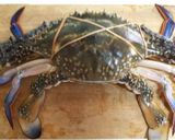 蒸しワタリガニ作り方1写真