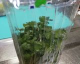 [裏技?]かいわれ大根の種殻取り&水切り作り方5写真
