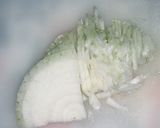 【大量消費】冷凍トマトでミートソース作り方2写真