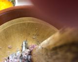 トマト煮込み マンマの懐かしい味作り方2写真