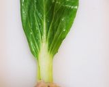 チンゲン菜の焼売！作り方4写真