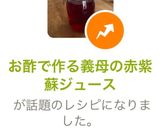 お酢で作る義母の赤紫蘇ジュース作り方6写真