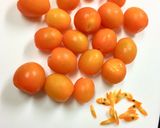 ミニトマト 冷凍で皮がツルンと剥ける♪作り方1写真