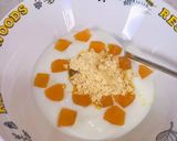 ヨーグルトと羊羹？！でも不思議美味しい♡作り方9写真