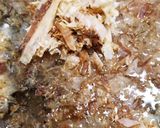 食べる　味噌汁作り方1写真