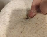 ライ麦のチーズパン作り方4写真