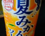 夏みかんソーダ&サイダーのジュース作り方1写真